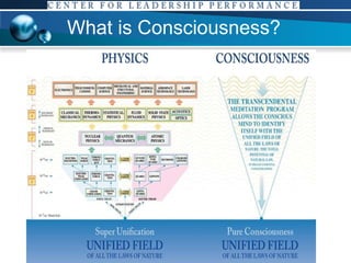 What is Consciousness? 