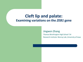 Cleft lip and palate:
Examining variations on the ZEB1 gene


                  Jingwen Zhang
                  Thomas Worthington High School ‘14
                  Research Institute: Murray Lab, University of Iowa
 