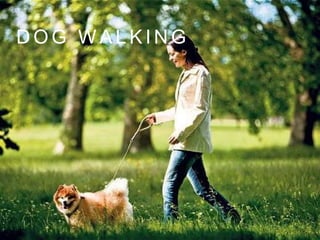 D O G W A L K I N G
 