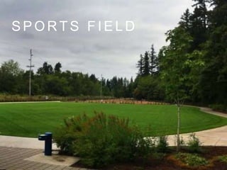 S P O R T S F I E L D
 