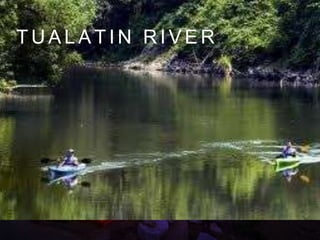 T U A L A T I N R I V E R
 