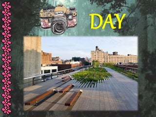 DAY 
 