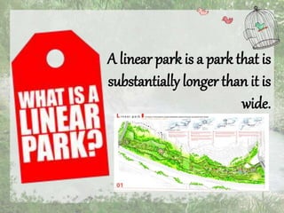 A linear park is a park that is 
substantially longer than it is 
wide. 
 