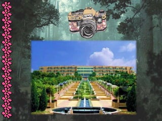 Cl project powerpoint 