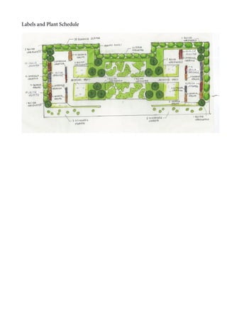 Labels and Plant Schedule 
 