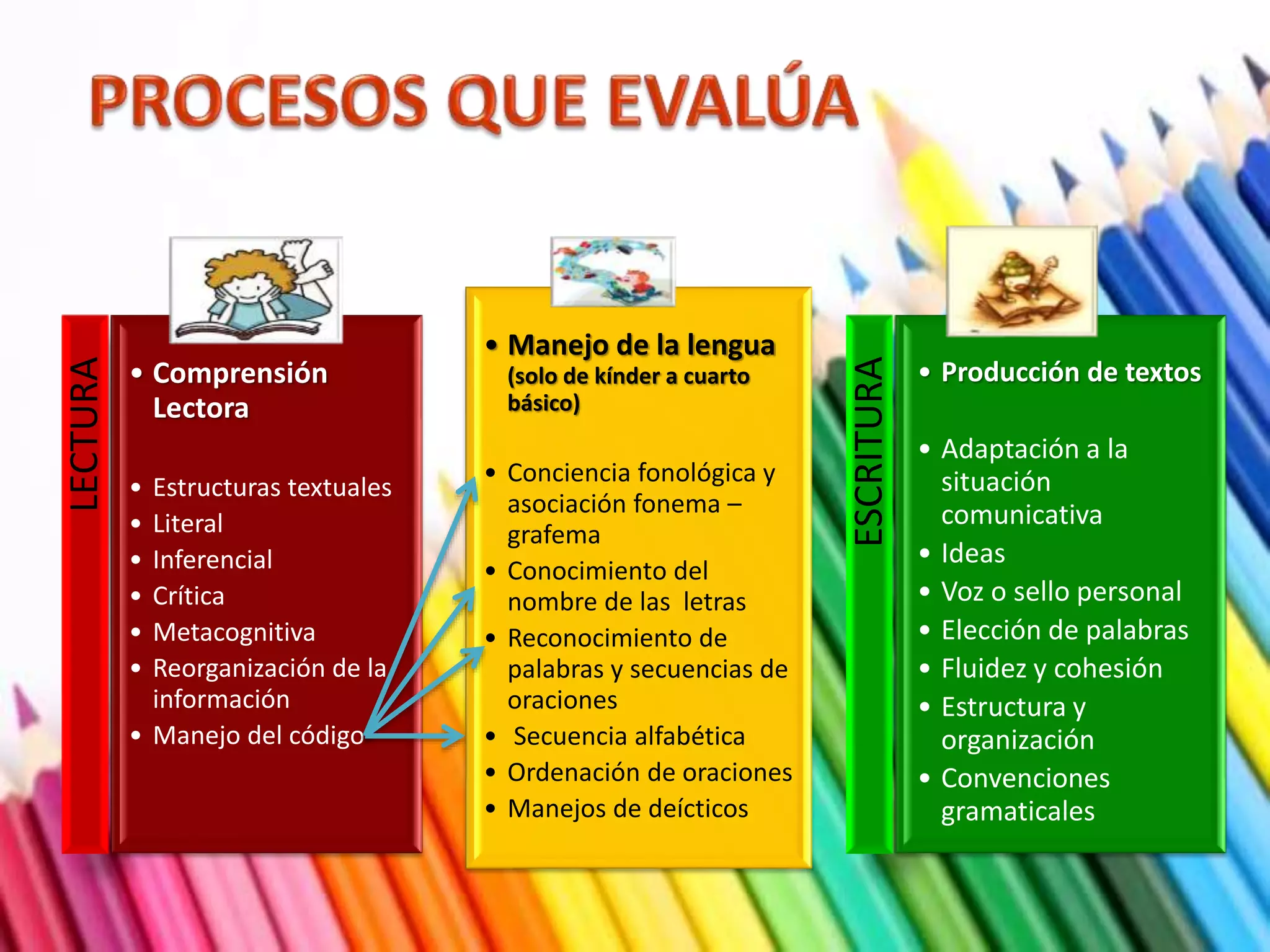 LECTURA 
• Comprensión 
Lectora 
• Estructuras textuales 
• Literal 
• Inferencial 
• Crítica 
• Metacognitiva 
• Reorganización de la 
información 
• Manejo del código 
• Manejo de la lengua 
(solo de kínder a cuarto 
básico) 
• Conciencia fonológica y 
asociación fonema – 
grafema 
• Conocimiento del 
nombre de las letras 
• Reconocimiento de 
palabras y secuencias de 
oraciones 
• Secuencia alfabética 
• Ordenación de oraciones 
• Manejos de deícticos 
ESCRITURA 
• Producción de textos 
• Adaptación a la 
situación 
comunicativa 
• Ideas 
• Voz o sello personal 
• Elección de palabras 
• Fluidez y cohesión 
• Estructura y 
organización 
• Convenciones 
gramaticales 
 
