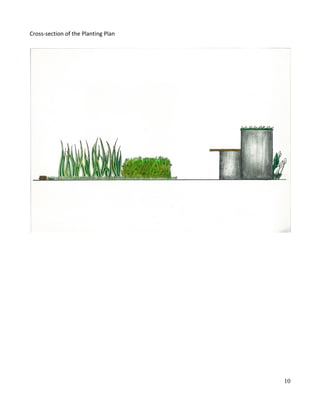 Cross-section of the Planting Plan
10
 