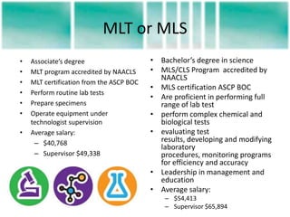Mls Program Lab Cls | PPTX
