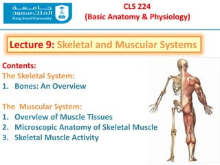 CLS 224
(Basic Anatomy & Physiology)
Lecture 9: Skeletal and Muscular Systems
Contents:
The Skeletal System:
1. Bones: An Overview
The Muscular System:
1. Overview of Muscle Tissues
2. Microscopic Anatomy of Skeletal Muscle
3. Skeletal Muscle Activity
 