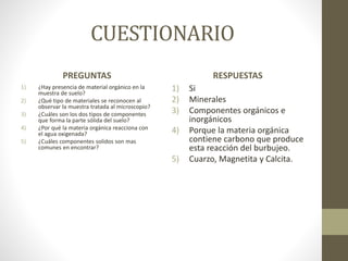 CUESTIONARIO
PREGUNTAS
1) ¿Hay presencia de material orgánico en la
muestra de suelo?
2) ¿Qué tipo de materiales se reconocen al
observar la muestra tratada al microscopio?
3) ¿Cuáles son los dos tipos de componentes
que forma la parte sólida del suelo?
4) ¿Por qué la materia orgánica reacciona con
el agua oxigenada?
5) ¿Cuáles componentes solidos son mas
comunes en encontrar?
RESPUESTAS
1) Si
2) Minerales
3) Componentes orgánicos e
inorgánicos
4) Porque la materia orgánica
contiene carbono que produce
esta reacción del burbujeo.
5) Cuarzo, Magnetita y Calcita.
 