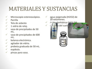 MATERIALES Y SUSTANCIAS
 Microscopio estereoscópico.
 Parrilla
 Tela de asbesto
 1 vidrio de reloj.
 vaso de precipitados de 50
mL.
 vaso de precipitados de 600
mL.
 balanza electrónica.
 agitador de vidrio.
 probeta graduada de 50 mL.
 espátula.
 pinzas para vaso.
 agua oxigenada (H2O2) de
20 volúmenes.
 ácido clorhídrico (HCl) 2M.
 muestra del suelo tamizada.
 