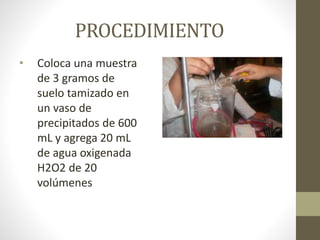 PROCEDIMIENTO
• Coloca una muestra
de 3 gramos de
suelo tamizado en
un vaso de
precipitados de 600
mL y agrega 20 mL
de agua oxigenada
H2O2 de 20
volúmenes
 