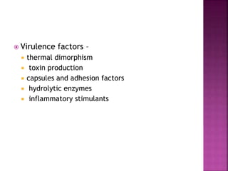  Virulence factors –
 thermal dimorphism
 toxin production
 capsules and adhesion factors
 hydrolytic enzymes
 inflammatory stimulants
 