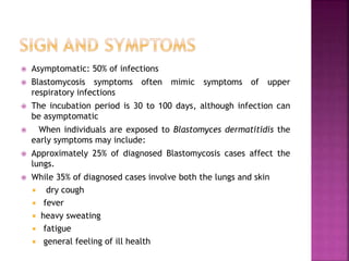  Asymptomatic: 50% of infections
 Blastomycosis symptoms often mimic symptoms of upper
respiratory infections
 The incubation period is 30 to 100 days, although infection can
be asymptomatic
 When individuals are exposed to Blastomyces dermatitidis the
early symptoms may include:
 Approximately 25% of diagnosed Blastomycosis cases affect the
lungs.
 While 35% of diagnosed cases involve both the lungs and skin
 dry cough
 fever
 heavy sweating
 fatigue
 general feeling of ill health
 
