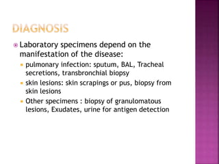  Laboratory specimens depend on the
manifestation of the disease:
 pulmonary infection: sputum, BAL, Tracheal
secretions, transbronchial biopsy
 skin lesions: skin scrapings or pus, biopsy from
skin lesions
 Other specimens : biopsy of granulomatous
lesions, Exudates, urine for antigen detection
 