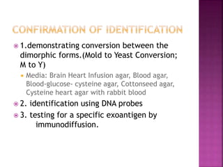  1.demonstrating conversion between the
dimorphic forms.(Mold to Yeast Conversion;
M to Y)
 Media: Brain Heart Infusion agar, Blood agar,
Blood-glucose- cysteine agar, Cottonseed agar,
Cysteine heart agar with rabbit blood
 2. identification using DNA probes
 3. testing for a specific exoantigen by
immunodiffusion.
 