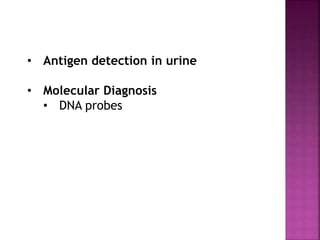 • Antigen detection in urine
• Molecular Diagnosis
• DNA probes
 