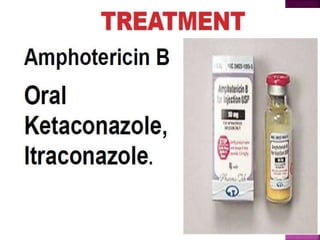 CLS Blastomyces dermatitidis.pptx