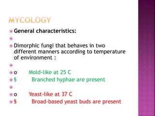  General characteristics:

 Dimorphic fungi that behaves in two
different manners according to temperature
of environment :

 o Mold-like at 25 C
 § Branched hyphae are present

 o Yeast-like at 37 C
 § Broad-based yeast buds are present
 