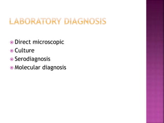 Direct microscopic
 Culture
 Serodiagnosis
 Molecular diagnosis
 