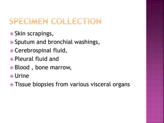  Skin scrapings,
 Sputum and bronchial washings,
 Cerebrospinal fluid,
 Pleural fluid and
 Blood , bone marrow,
 Urine
 Tissue biopsies from various visceral organs
 