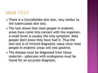  There is a Coccidioides skin test, very similar to
the tuberculosis skin test.
 The test shows that most people in endemic
areas have come into contact with the organism.
A small fever is usually the only symptom. Most
people don't know they have had it. Thus the
skin test is of limited diagnostic value since most
people in endemic areas will test positive.
 The disease must be diagnosed from tissue
material-- spherules with endospores must be
found for an accurate diagnosis.
 