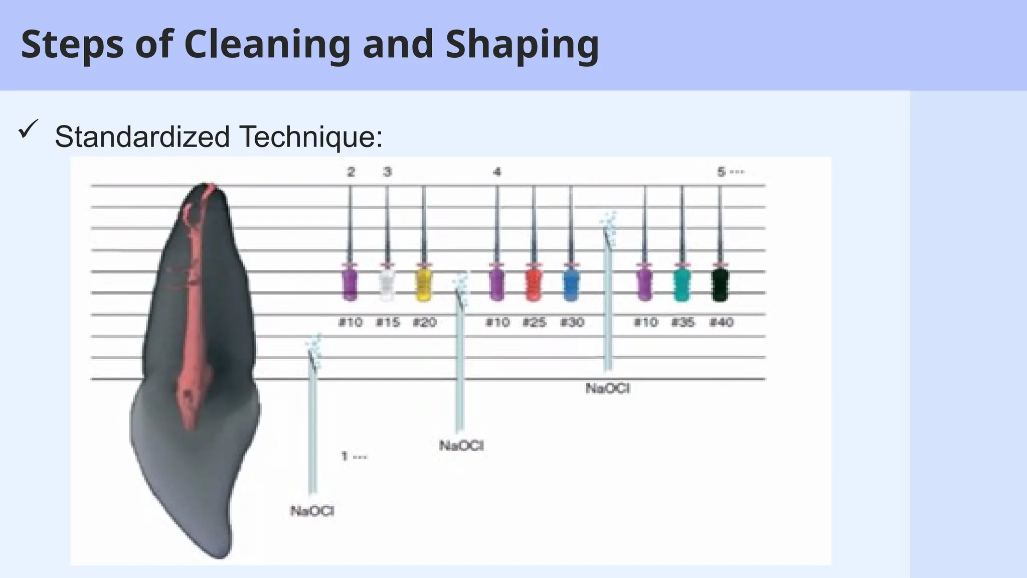 5
Steps of Cleaning and Shaping
 Standardized Technique:
 