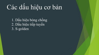 Các dấu hiệu cơ bản
1. Dấu hiệu bóng chồng
2. Dấu hiệu tiếp tuyến
3. S-golden
 