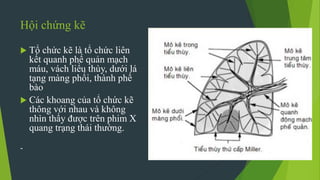 Hội chứng kẽ
 Tổ chức kẽ là tổ chức liên
kết quanh phế quản mạch
máu, vách liểu thùy, dưới lá
tạng màng phổi, thành phế
bào
 Các khoang của tổ chức kẽ
thông với nhau và không
nhìn thấy được trên phim X
quang trạng thái thường.
-
 