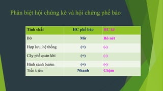 Phân biệt hội chứng kẽ và hội chứng phế bào
Tính chất HC phế bào HC kẽ
Bờ Mờ Rõ nét
Hợp lưu, hệ thống (+) (-)
Cây phế quản khí (+) (-)
Hình cánh bướm (+) (-)
Tiến triển Nhanh Chậm
 