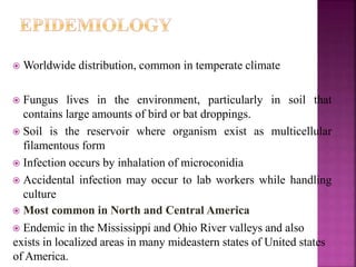  Worldwide distribution, common in temperate climate
 Fungus lives in the environment, particularly in soil that
contains large amounts of bird or bat droppings.
 Soil is the reservoir where organism exist as multicellular
filamentous form
 Infection occurs by inhalation of microconidia
 Accidental infection may occur to lab workers while handling
culture
 Most common in North and Central America
 Endemic in the Mississippi and Ohio River valleys and also
exists in localized areas in many mideastern states of United states
of America.
 