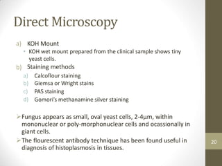 Direct Microscopy
a) KOH Mount
• KOH wet mount prepared from the clinical sample shows tiny
yeast cells.
Staining methods
b)
a)
b)
c)
d)
Calcoflour staining
Giemsa or Wright stains
PAS staining
Gomori’s methanamine silver staining
Fungus appears as small, oval yeast cells, 2-4µm, within
mononuclear or poly-morphonuclear cells and ocassionally in
giant cells.
The flourescent antibody technique has been found useful in
diagnosis of histoplasmosis in tissues.
20
 