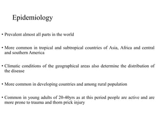 Epidemiology
• Prevalent almost all parts in the world
• More common in tropical and subtropical countries of Asia, Africa and central
and southern America
• Climatic conditions of the geographical areas also determine the distribution of
the disease
• More common in developing countries and among rural population
• Common in young adults of 20-40yrs as at this period people are active and are
more prone to trauma and thorn prick injury
 