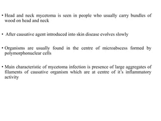 • Head and neck mycetoma is seen in people who usually carry bundles of
wood on head and neck
• After causative agent introduced into skin disease evolves slowly
• Organisms are usually found in the centre of microabscess formed by
polymorphonuclear cells
• Main characteristic of mycetoma infection is presence of large aggregates of
filaments of causative organism which are at centre of it’s inflammatory
activity
 