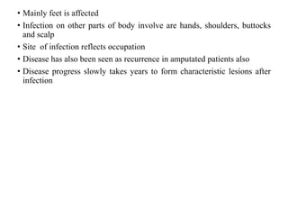 • Mainly feet is affected
• Infection on other parts of body involve are hands, shoulders, buttocks
and scalp
• Site of infection reflects occupation
• Disease has also been seen as recurrence in amputated patients also
• Disease progress slowly takes years to form characteristic lesions after
infection
 