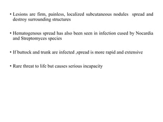 • Lesions are firm, painless, localized subcutaneous nodules spread and
destroy surrounding structures
• Hematogenous spread has also been seen in infection cused by Nocardia
and Streptomyces species
• If buttock and trunk are infected ,spread is more rapid and extensive
• Rare threat to life but causes serious incapacity
 