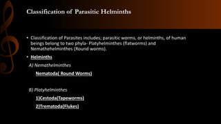 Classification of Parasitic Helminths
• Classification of Parasites includes; parasitic worms, or helminths, of human
beings belong to two phyla- Platyhelminthes (flatworms) and
Nemathehelminthes (Round worms).
• Helminths
A) Nemathelminthes
Nematoda( Round Worms)
B) Platyhelminthes
1)Cestoda(Tapeworms)
2)Trematoda(Flukes)
 