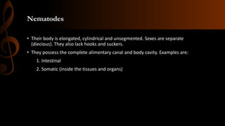 Nematodes
• Their body is elongated, cylindrical and unsegmented. Sexes are separate
(diecious). They also lack hooks and suckers.
• They possess the complete alimentary canal and body cavity. Examples are:
1. Intestinal
2. Somatic (inside the tissues and organs)
 