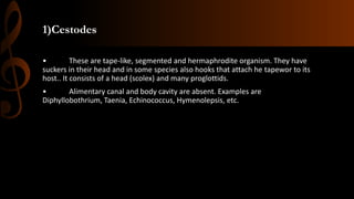 1)Cestodes
• These are tape-like, segmented and hermaphrodite organism. They have
suckers in their head and in some species also hooks that attach he tapewor to its
host.. It consists of a head (scolex) and many proglottids.
• Alimentary canal and body cavity are absent. Examples are
Diphyllobothrium, Taenia, Echinococcus, Hymenolepsis, etc.
 