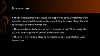 Encystment
• The protozoal parasite possesses the property of being transformed from
an active (trophozoite) to an inactive stage, losing its power of motility and
enclosing itself within a tough wall.
• The protoplasmic body thus formed is known as a cyst. At this stage, the
parasite loses its power of growth and multiplication.
• The cyst is the resistant stage of the parasite and is also infective to its
human host.
 