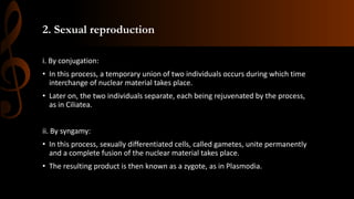 2. Sexual reproduction
i. By conjugation:
• In this process, a temporary union of two individuals occurs during which time
interchange of nuclear material takes place.
• Later on, the two individuals separate, each being rejuvenated by the process,
as in Ciliatea.
ii. By syngamy:
• In this process, sexually differentiated cells, called gametes, unite permanently
and a complete fusion of the nuclear material takes place.
• The resulting product is then known as a zygote, as in Plasmodia.
 