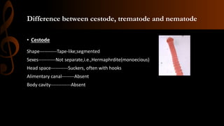 Difference between cestode, trematode and nematode
• Cestode
Shape-----------Tape-like;segmented
Sexes-----------Not separate,i.e.,Hermaphrdite(monoecious)
Head space-----------Suckers, often with hooks
Alimentary canal--------Absent
Body cavity-------------Absent
 