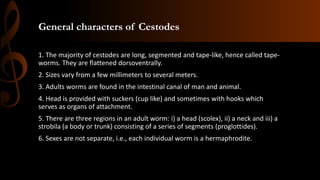 General characters of Cestodes
1. The majority of cestodes are long, segmented and tape-like, hence called tape-
worms. They are flattened dorsoventrally.
2. Sizes vary from a few millimeters to several meters.
3. Adults worms are found in the intestinal canal of man and animal.
4. Head is provided with suckers (cup like) and sometimes with hooks which
serves as organs of attachment.
5. There are three regions in an adult worm: i) a head (scolex), ii) a neck and iii) a
strobila (a body or trunk) consisting of a series of segments (proglottides).
6. Sexes are not separate, i.e., each individual worm is a hermaphrodite.
 