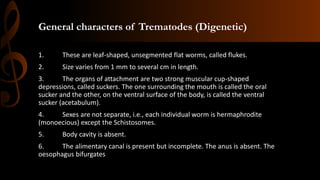General characters of Trematodes (Digenetic)
1. These are leaf-shaped, unsegmented flat worms, called flukes.
2. Size varies from 1 mm to several cm in length.
3. The organs of attachment are two strong muscular cup-shaped
depressions, called suckers. The one surrounding the mouth is called the oral
sucker and the other, on the ventral surface of the body, is called the ventral
sucker (acetabulum).
4. Sexes are not separate, i.e., each individual worm is hermaphrodite
(monoecious) except the Schistosomes.
5. Body cavity is absent.
6. The alimentary canal is present but incomplete. The anus is absent. The
oesophagus bifurgates
 