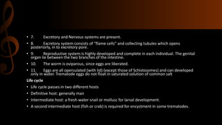 • 7. Excretory and Nervous systems are present.
• 8. Excretory system consists of “flame cells” and collecting tubules which opens
posteriorly, in to excretory pore.
• 9. Reproductive system is highly developed and complete in each individual. The genital
organ lie between the two branches of the intestine.
• 10. The worm is oviparous, since eggs are liberated.
• 11. Eggs are all operculated (with lid) (except those of Schistosomes) and can developed
only in water. Trematode eggs do not float in saturated solution of common salt
Life cycle
• Life cycle passes in two different hosts
• Definitive host: generally man
• Intermediate host: a fresh-water snail or mollusc for larval development.
• A second intermediate host (fish or crab) is required for encystment in some trematodes.
 