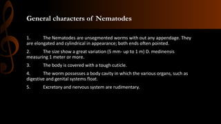 General characters of Nematodes
1. The Nematodes are unsegmented worms with out any appendage. They
are elongated and cylindrical in appearance; both ends often pointed.
2. The size show a great variation (5 mm- up to 1 m) D. medinensis
measuring 1 meter or more.
3. The body is covered with a tough cuticle.
4. The worm possesses a body cavity in which the various organs, such as
digestive and genital systems float.
5. Excretory and nervous system are rudimentary.
 
