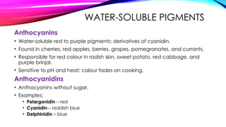 WATER-SOLUBLE PIGMENTS
Anthocyanins
• Water-soluble red to purple pigments; derivatives of cyanidin.
• Found in cherries, red apples, berries, grapes, pomegranates, and currants.
• Responsible for red colour in radish skin, sweet potato, red cabbage, and
purple brinjal.
• Sensitive to pH and heat; colour fades on cooking.
Anthocyanidins
• Anthocyanins without sugar.
• Examples:
• Pelargonidin – red
• Cyanidin – reddish blue
• Delphinidin – blue
 