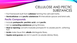 CELLULOSE AND PECTIC
SUBSTANCES
• Fruit framework built from cellulose forming the cell-wall matrix.
• Hemicellulose and pectic substances fill intercellular spaces and bind cells.
Pectic Compounds
• Include protopectin, pectinic acid, and pectin.
• Act as cementing substances giving firmness.
• Heat or ripening converts insoluble protopectin to soluble pectin, softening
fruit.
• Acids make tissue firm; alkalis disintegrate fibres.
• Apples and guavas are rich in pectin (a soluble dietary fibre).
 