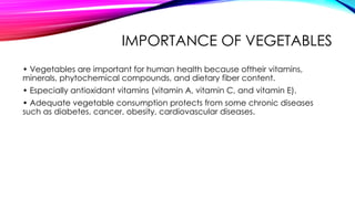 IMPORTANCE OF VEGETABLES
• Vegetables are important for human health because oftheir vitamins,
minerals, phytochemical compounds, and dietary fiber content.
• Especially antioxidant vitamins (vitamin A, vitamin C, and vitamin E).
• Adequate vegetable consumption protects from some chronic diseases
such as diabetes, cancer, obesity, cardiovascular diseases.
 