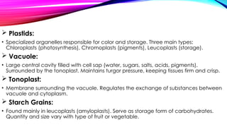 Plastids:
• Specialized organelles responsible for color and storage. Three main types:
Chloroplasts (photosynthesis), Chromoplasts (pigments), Leucoplasts (storage).
 Vacuole:
• Large central cavity filled with cell sap (water, sugars, salts, acids, pigments).
Surrounded by the tonoplast. Maintains turgor pressure, keeping tissues firm and crisp.
 Tonoplast:
• Membrane surrounding the vacuole. Regulates the exchange of substances between
vacuole and cytoplasm.
 Starch Grains:
• Found mainly in leucoplasts (amyloplasts). Serve as storage form of carbohydrates.
Quantity and size vary with type of fruit or vegetable.
 